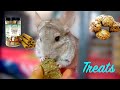 Safe Chinchilla Treats (Everything You Need To Know)