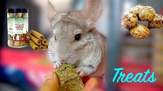 Safe Chinchilla Treats (Everything You Need To Know)