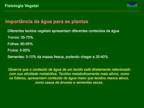 Propriedades da água