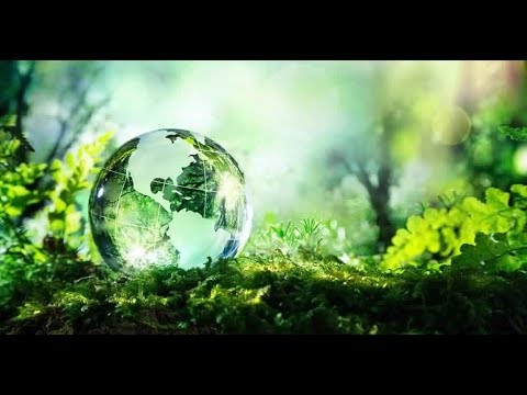 Environmental Engineering Video