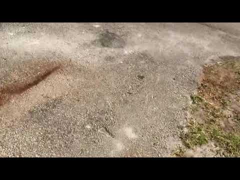 4b / 2.5b Cash Flowing Rental in Plantation