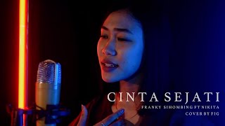 Download lagu Franky Sihombing - Cinta Sejati (feat. Nikita) | Acoustic Cover by Devy Erfan Virga & r i k o mp3