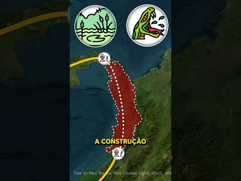 THE FOREST 🌳 that SEPARATES the AMERICAS 🌎