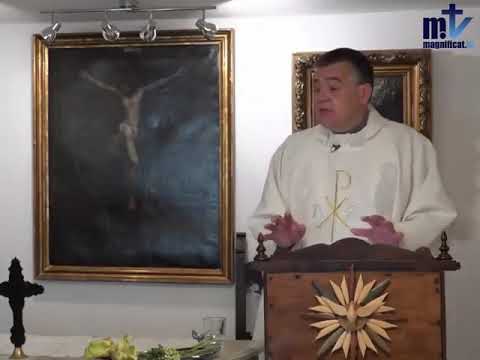 Padre Santiago. Homilía. Octubre 10 2019. San Lucas 11,5-13.