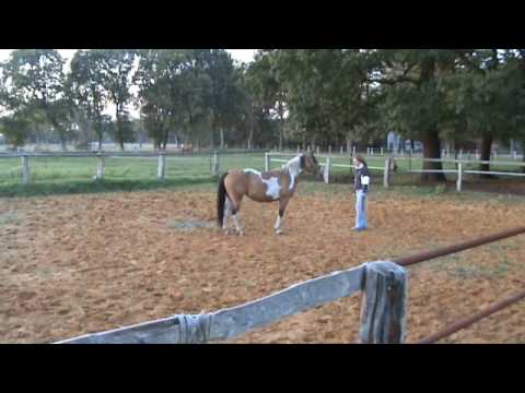 Leitstutenprinzip - Wegschicken und Einladen