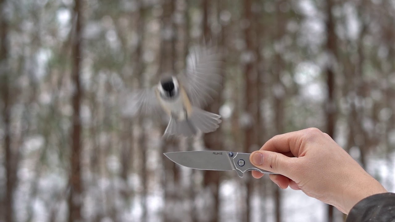 Ruike P801 - Brevemente disponível.