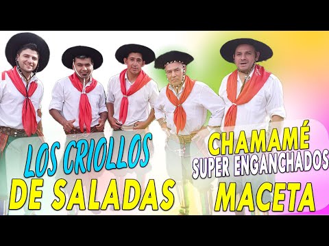 LOS CRIOLLOS DE SALADAS  DEL CHAMAME - EXCLUSIVO CHAMAME 2022 - Chamame Maceta Enganchados 2022