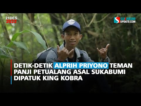 Detik-detik Alprih Priyono Teman Panji Petualang Asal Sukabumi Dipatuk King Kobra