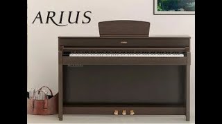 Video thumbnail for The Yamaha Arius YDP-184 Digital Piano by Len Doyle