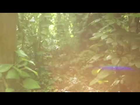 Saltay Hanalei Bay Spa video testimonial