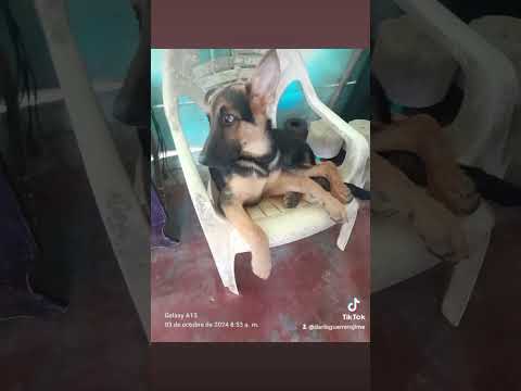 #cuandoestoyrelajado#🇨🇴🇨🇴🌎🌎🇨🇴 puerto libertador Córdoba