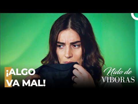 ¡Sospecha De Sefika Sobre Simal! - Nido De Víboras