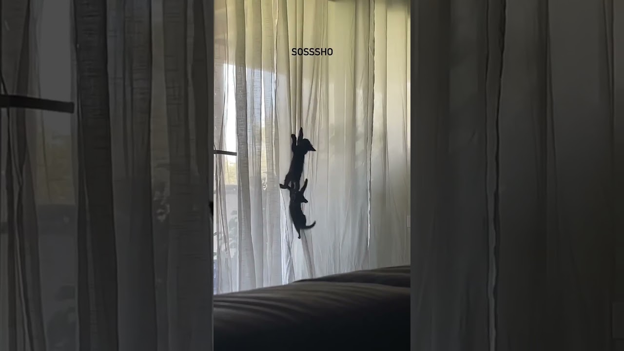 VID 20230908 181221 712