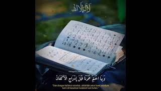 Download lagu Story wa Laailaahaillaah manaqib syech Abdul Qodir Al Jailani.. mp3