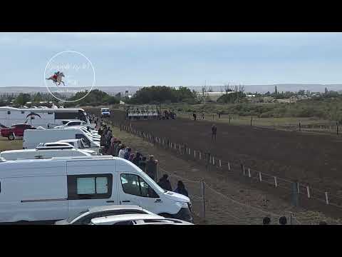 Hipico Las Norias Dolavon -Chubut.1°Carrera 275 mts Ganador:Edmundo 🥈San Agustín 