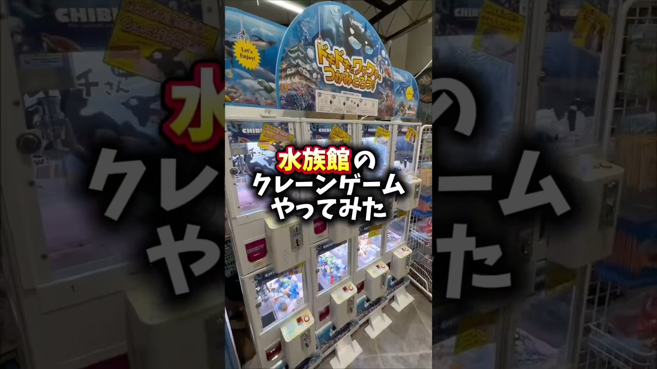水族館にあるクレーンゲームやってみた!!#クレーンゲーム #ゲームセンター #ゲーセン #ufoキャッチャー #水族館#