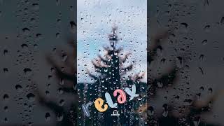 A vida, como a chuva, é cheia de belezas e lições esperando para serem descobertas”