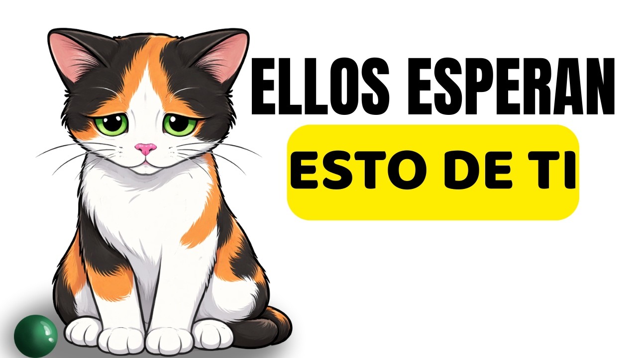 Esto es lo único que tu gato quiere de ti
