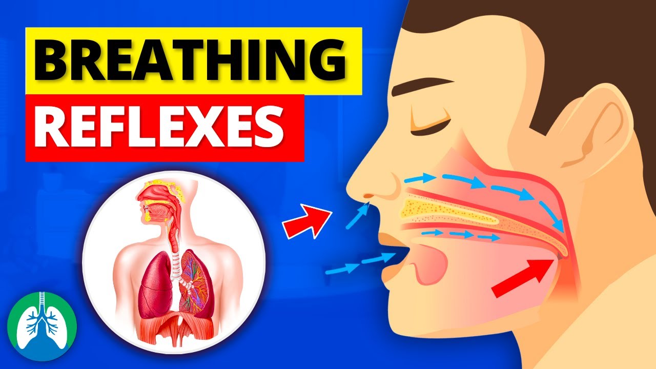 Top 7 Breathing Reflexes of the Human Body