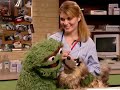 Sesame Street Episode 4127 Full