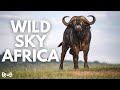 Wild Sky Africa Animal Planet Nature Documentary Wildlife Documentary In Hindi