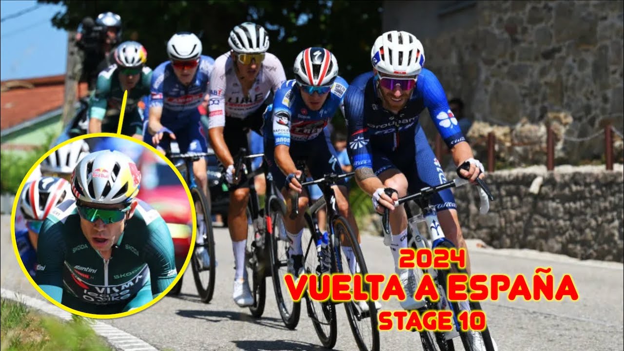 You'd Have to be CRAZY to Pull WOUT VAN AERT