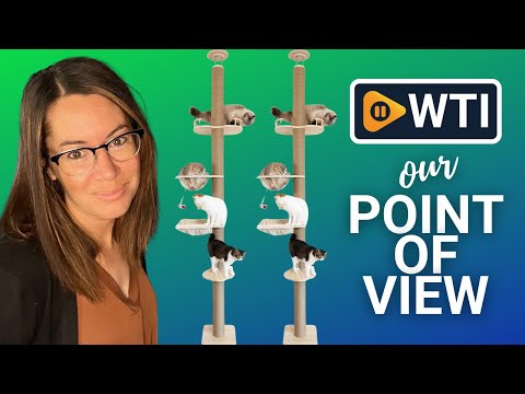 Cat Tree Floor to Ceiling - WTI product video review