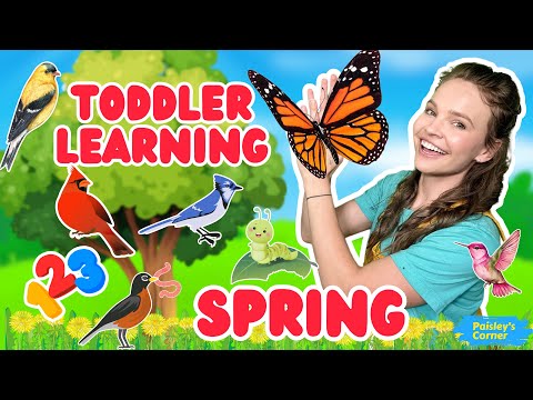 Witness21 Editor  2025 04 14