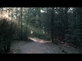 The Last Long Walk by Jeff Pearce
