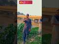 Dhak Dhak Karne Laga Supriya Chavan Dance Cover Saree Classmy Channel Is Stylish Gill