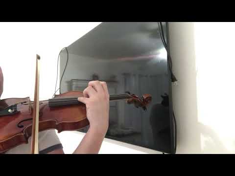Professional Violin - Howard Core Symphony SM10 Slightly used Case image 19