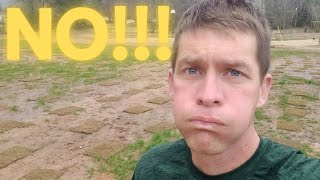 7 Spring Lawn Care Mistakes to AVOID!