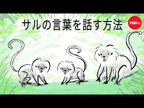 サルは他人の会話を解釈する