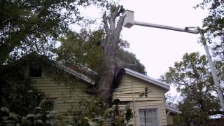 preview picture of video 'Aerial Crane Tree Removal Services in Bay St. Louis Mississippi'