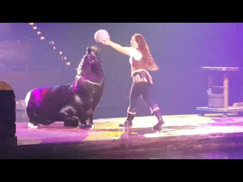 Satterfieldkroeger Salty Dance