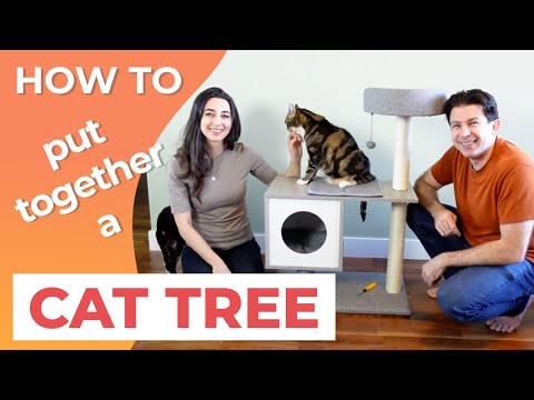 How to put together a CAT TREE