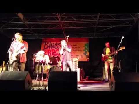 The Damon Fowler Group