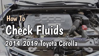 How To Check Fluids 2014 Toyota Corolla Maintenance, Check Oil, Brake, Coolant, Washer Fluid