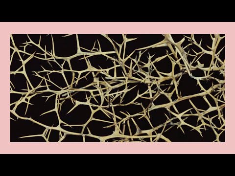 Arman Méliès & Pauline Denize - " Le Soleil en Soi "