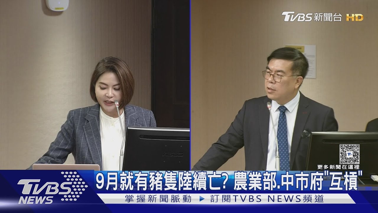9月就有豬隻陸續亡? 農業部、中市府「互槓」