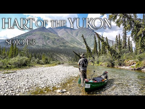 Hart of the Yukon - 14 Days Solo Camping in the Yukon Wilderness - E.3 - the Adventure Amps Up!