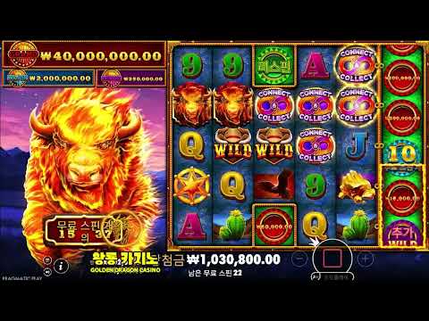 파이어 스템피드 2 슬롯 프리스핀 리뷰