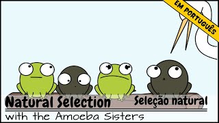 Seleção natural