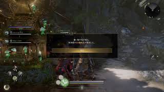 素人仁王3将軍ブラリ旅妖ヶ姿洞