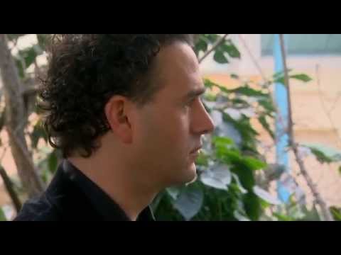 Did Darwin Kill God?