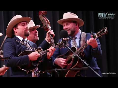 Carolina Blue   "Cold, Lonely and Blue"