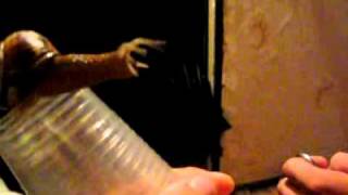 Even snails are relishing in '90s nostalgia.