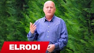 Asan Tare - Per Dy Kumbulla, Dy Qershi