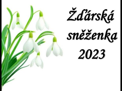 SK MG MANTILA BRNO - Žďárská sněženka