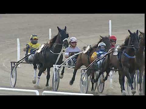 Napoli Trotto 02/07/2023 - 2ª corsa